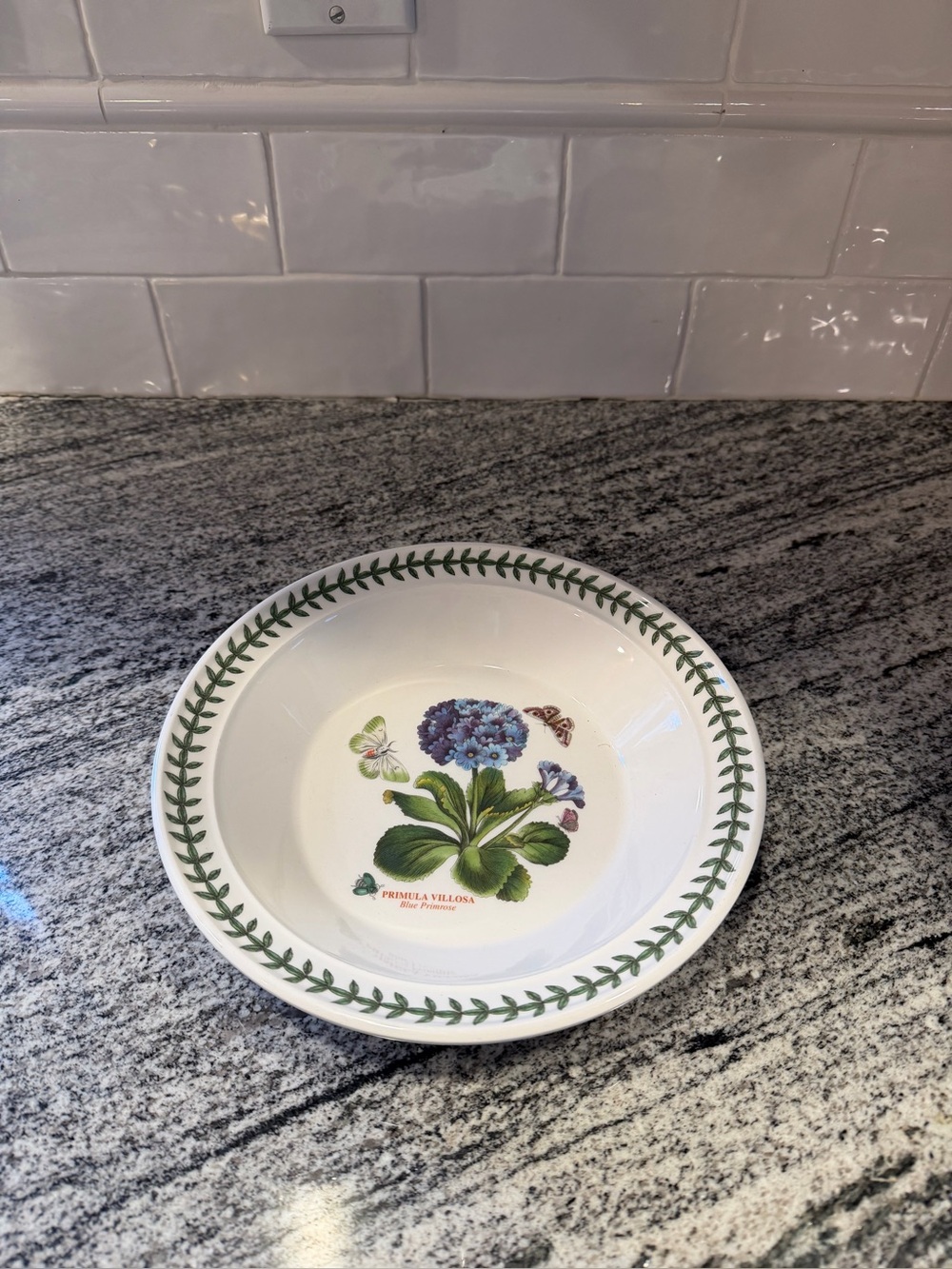 Portmeirion Botanic Garden Blue Primrose Rimmed Soup Bowl 8.5" England